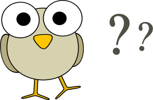 googley-eye-birdie-has-questions-300px