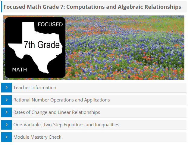 Image showing the cover of the Focused Math Grade 7: Computations and Algebraic Relationships module. Listing of big ideas from Focused Math Grade 7, Reporting Category 2